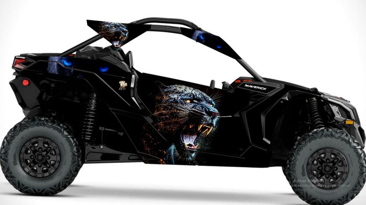 GRAFICOS COMPLETOS CAN AM 2 PLAZAS