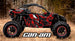 GRAFICOS COMPLETOS CAN AM 2 PLAZAS